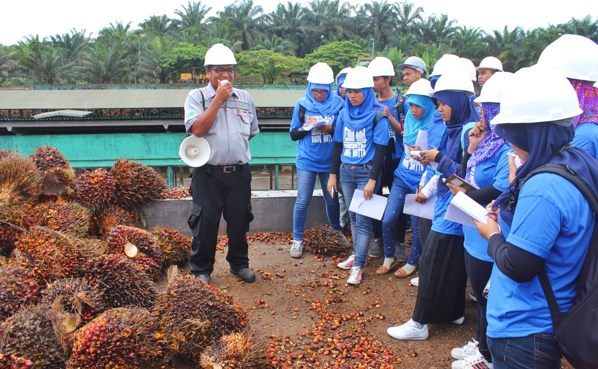 Dalami Teori, Mahasiswa Teknik Kimia UBH Kunjungi Industri CPO