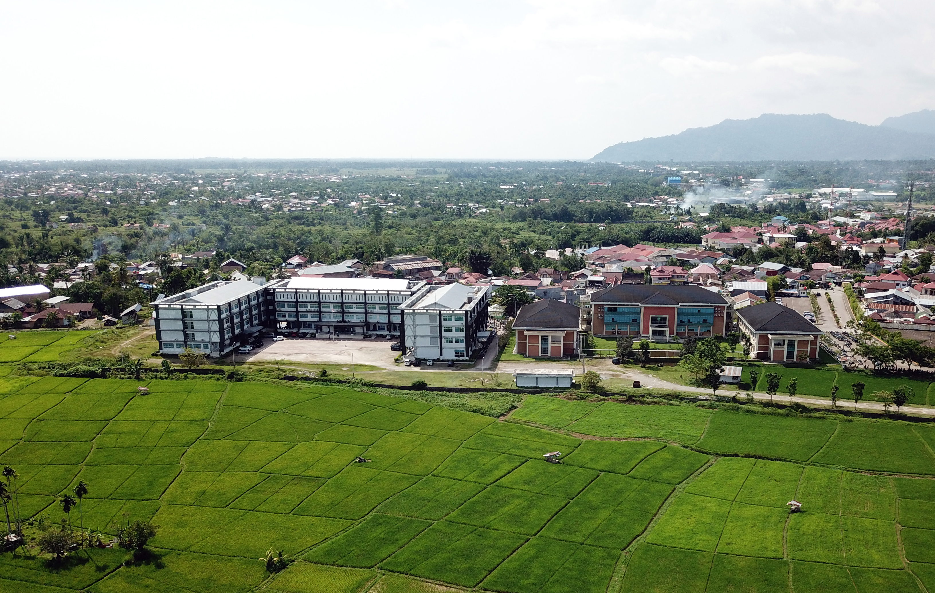 Fakultas Ilmu Budaya Universitas Bung Hatta, Seminarkan 5 Paper Di Webinar International Kebahasaan