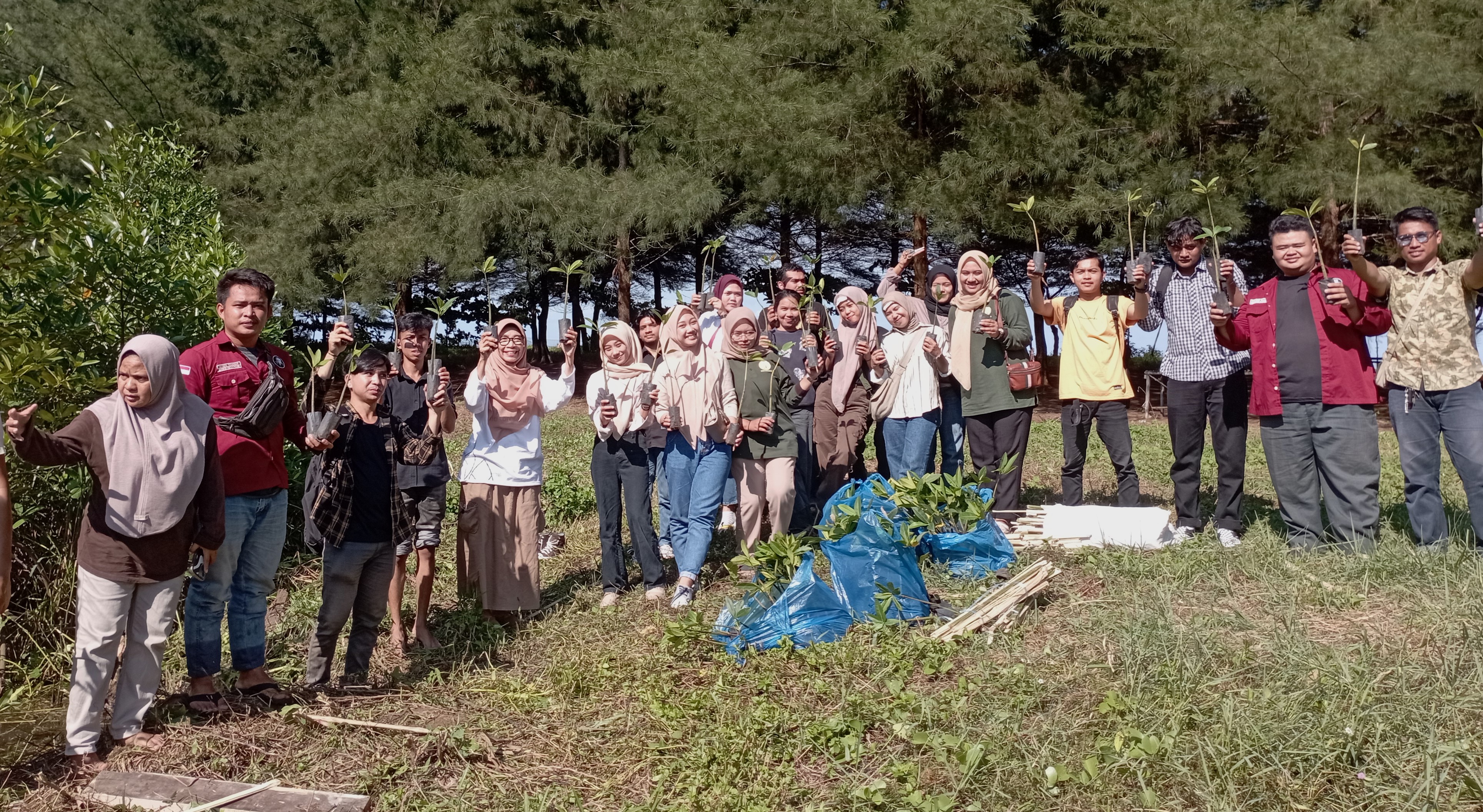 Gerakan Konservasi Laut, Mahasiswa FPIK-UBH Tanam Ratusan Bibit Mangrove di Kawasan Konservasi Pantai Pasir Putih