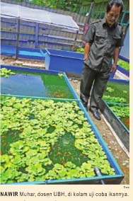 Dosen FPIK Kawin Silangkan Ikan-Ikan