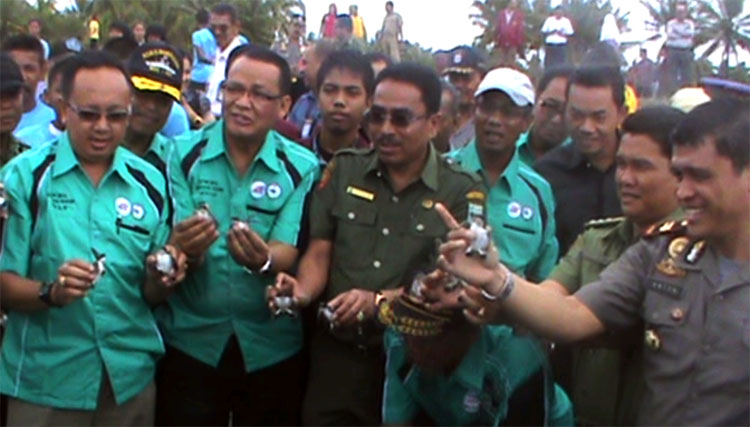 Mitra Bahari RC Sumbar: Hijaukan Pantai, 300 Penyu pun Di Lepas.