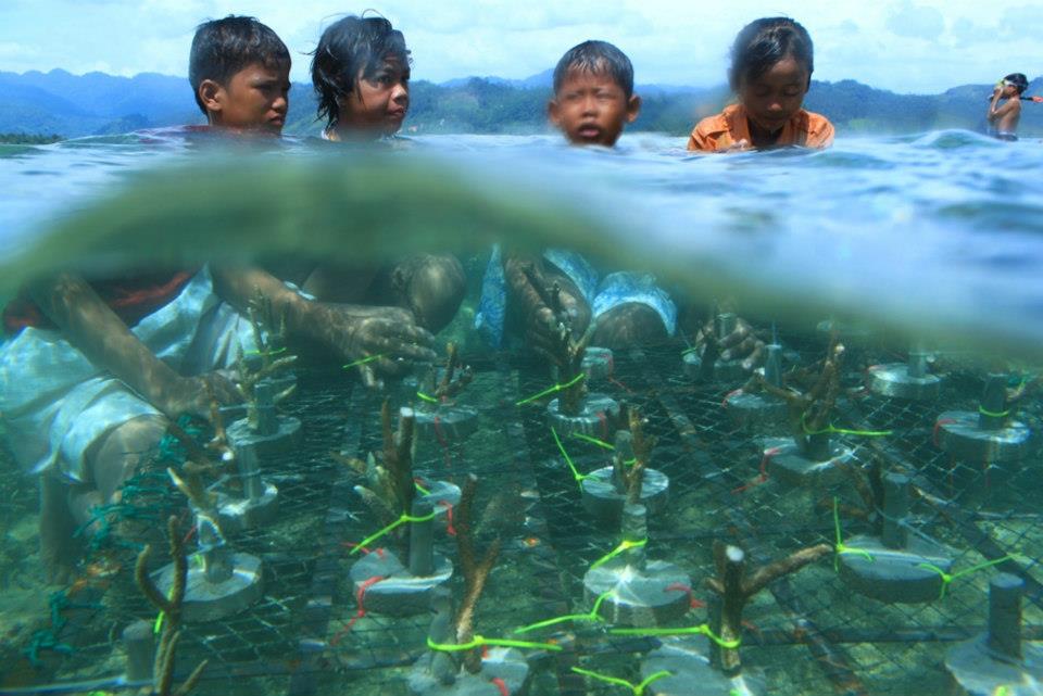 Tanam Ribuan Bibit Terumbu Karang, Diving Proklamator Dampingi Pelajar SD Kampung Carocok Anau Pessel