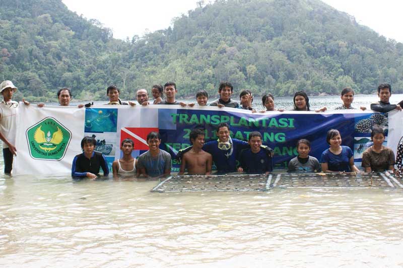 Diving Proklamator UBH, Perluas Transplantasi Karang